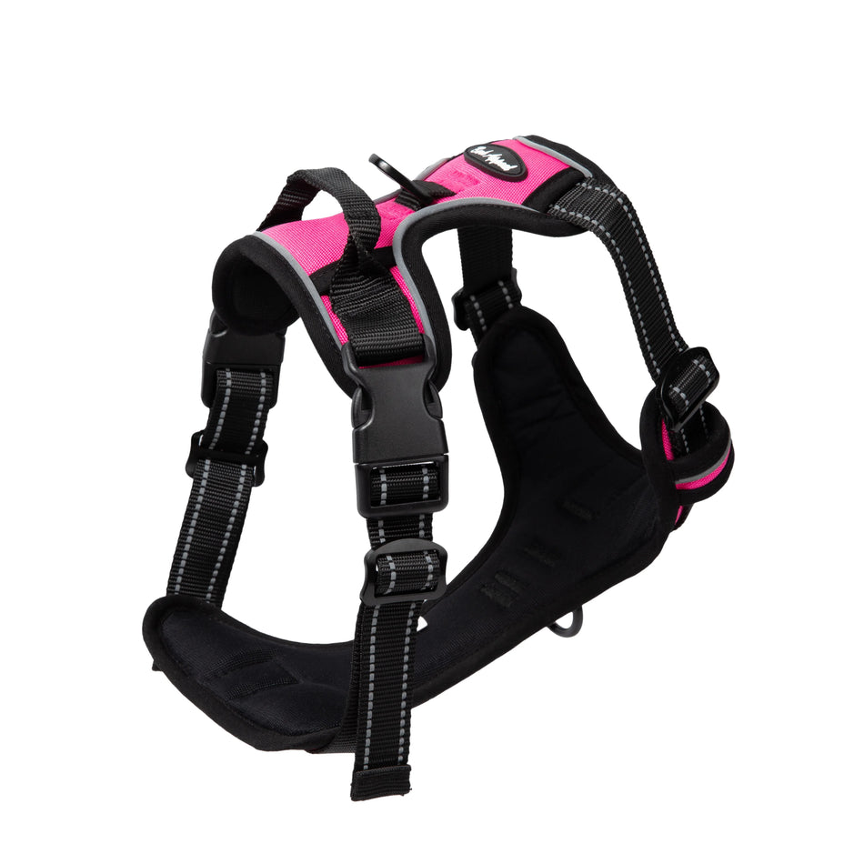Reflective Control Harnesses