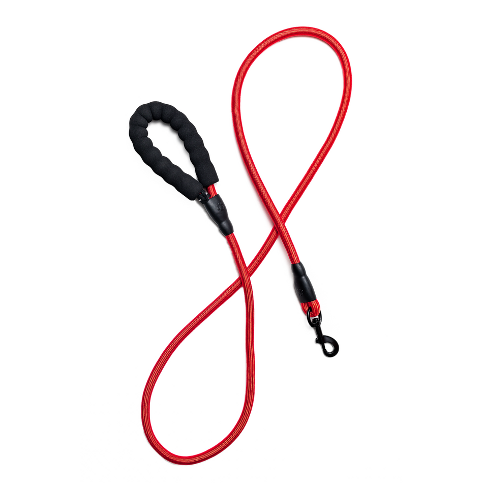 4' Rope Leash
