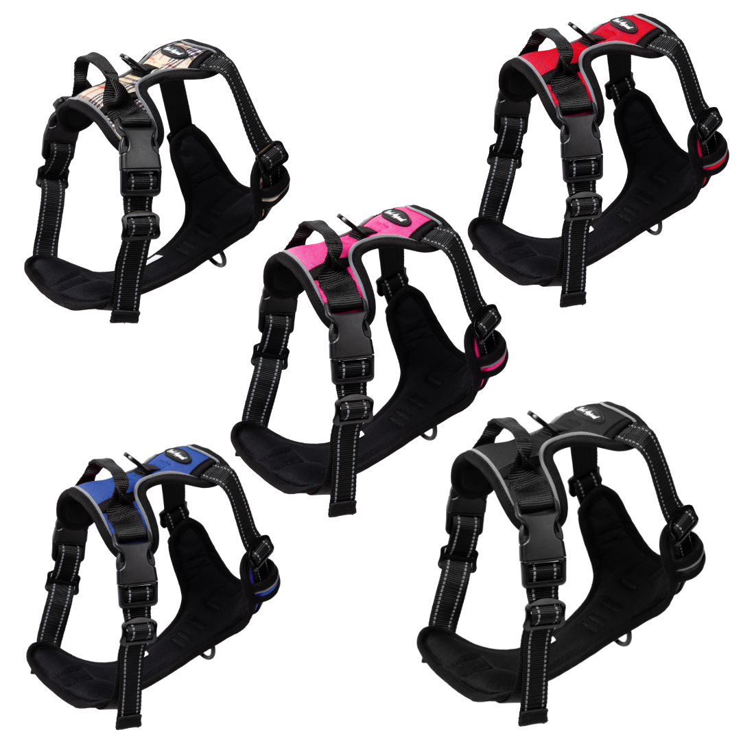 Reflective Control Harness – Bark Appeal Wholesale