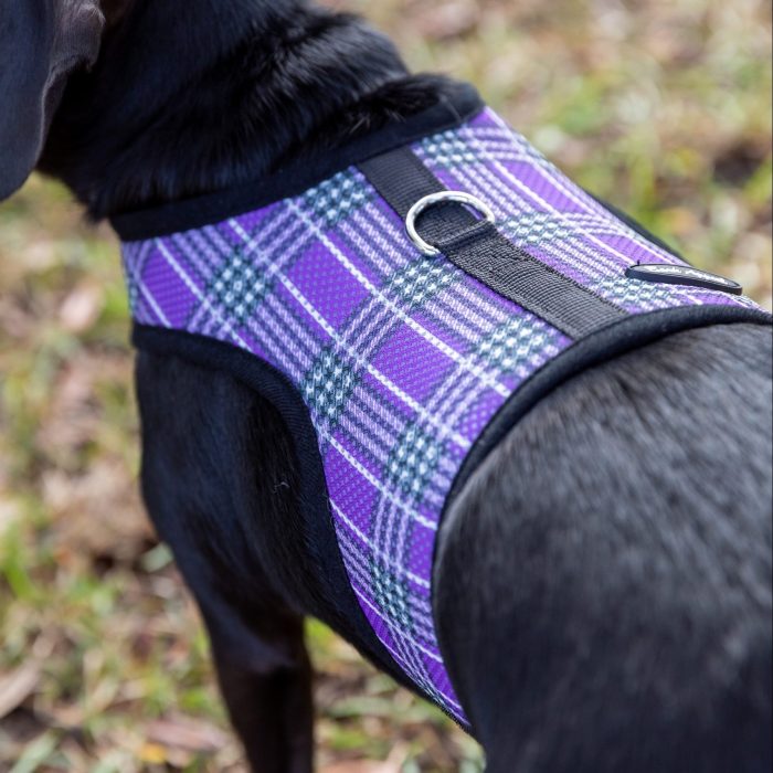 Lavender purple wrap n go dog harness on black dog