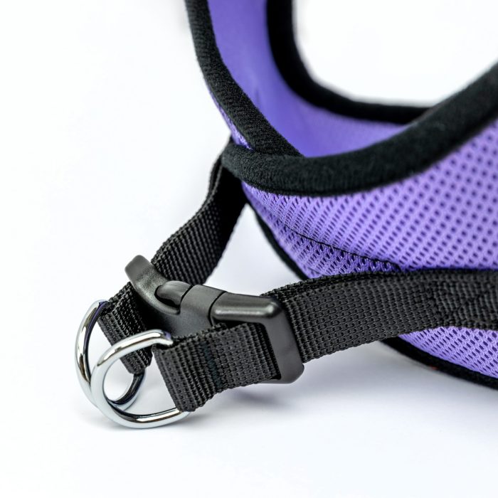 purple red mesh step-in dog harness detail