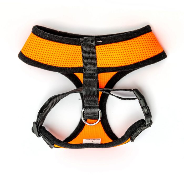 orange mesh pullover dog harness back