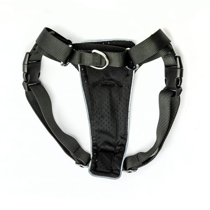 black no pull dog harness back