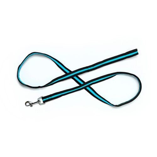 aqua blue mesh dog leash