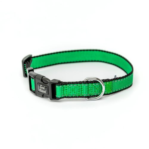 bright green Reflective Trim dog Collar