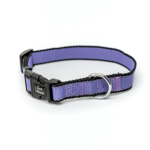purple lavender Reflective Trim dog Collar