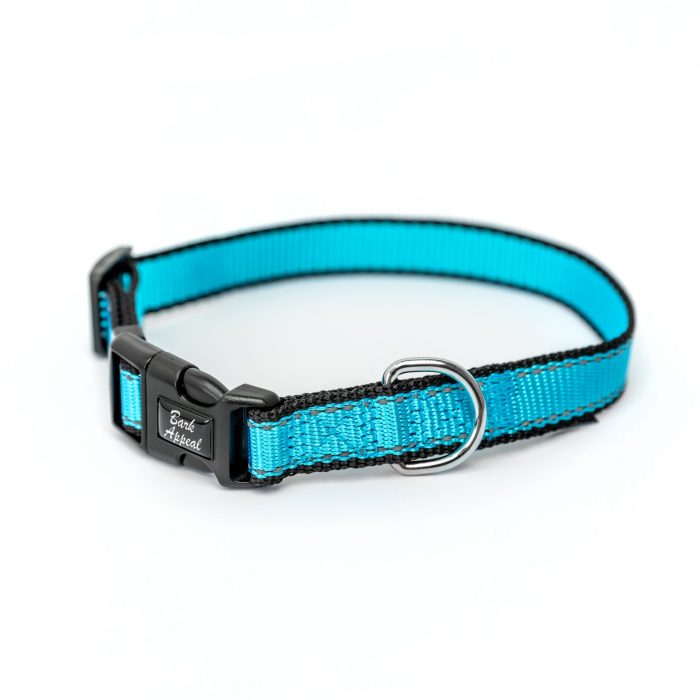 aqua blue Reflective Trim dog Collar