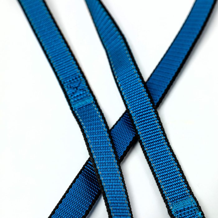 royal blue reflective trim leash