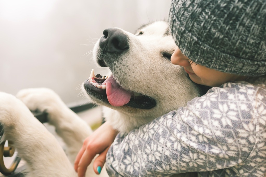 woman hugging haappy dog in winter clothing