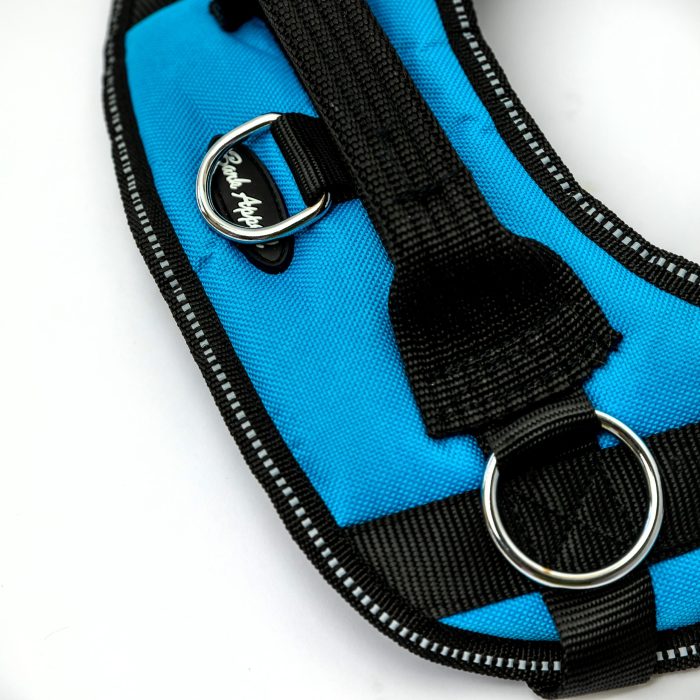 light blue reflective no pull dog harness detail