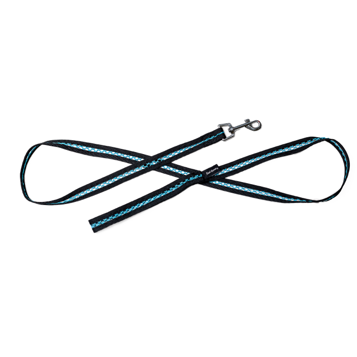 aqua blue netted leash with black trim