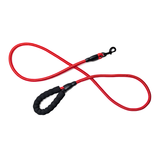 red rope dog leash