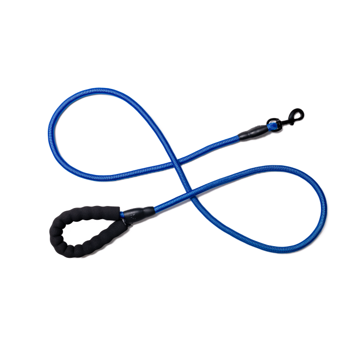 blue rope dog leash