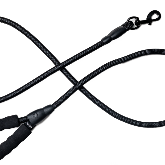 black rope leash detailed view
