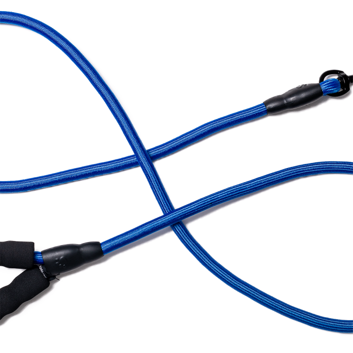 blue rope leash with cushion handle