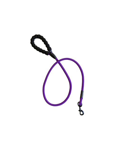 Purple Rope Leash