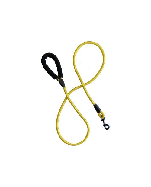 Yellow Rope Leash